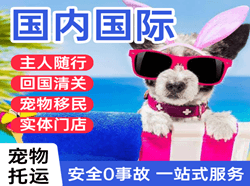 临汾尧都航空快运国际宠物托运 【国